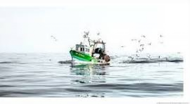 Certificat de Formation de Base à la Sécurité - Option Pêche